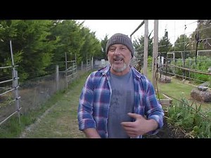 Applying Coco Pith To Raised Garden Beds