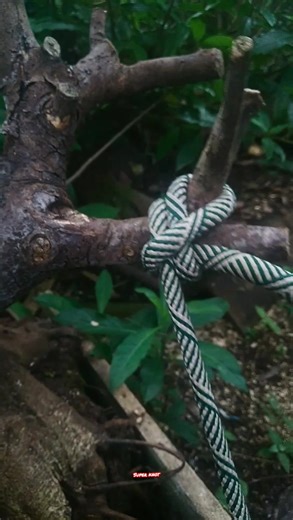 Simple trick..... #knots #rope #diy #hanmade #camping #climbing #survival #outdor #bushcraft | Asal Ngonten