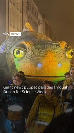 Watch as a giant newt puppet parades through Dublin for Science Week. The puppet was created by Macnas, a performance company based in Galway #Dublin #Parade | Sky News