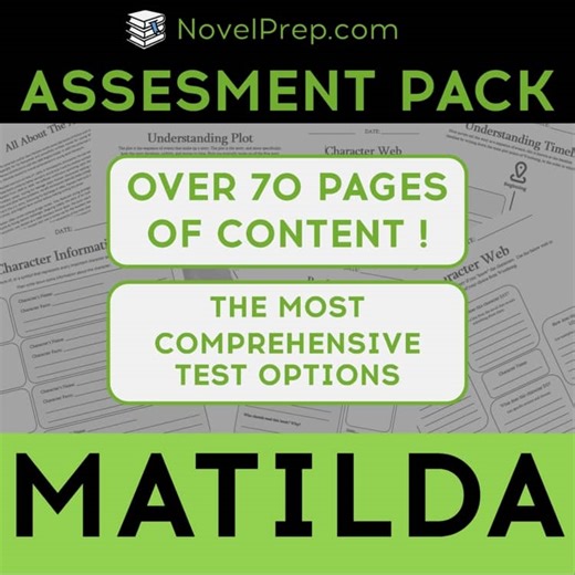 Matilda by Roald Dahl Complete No-Prep Test \ Assessment Pack