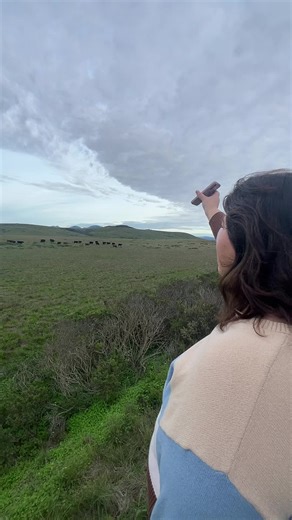 Jazz Music Experiment with Cows: Funny Reactions