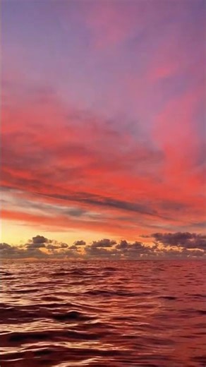 The best sunsets are viewed from the water 🥹 #sailing #sunset #sunsetchasers #sunsetview #pinksky