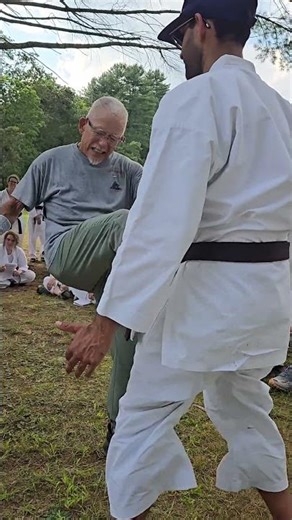 99% of Isshinryu Black Belts Can't Do Sanchin