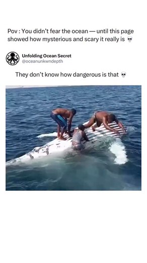 Unfolding Oceans Secret on Instagram: "People unknowingly jumping on a dead whale is one of those situations that looks harmless or even funny at first glance… until you realize the terrifying consequences behind it. A whale carcass isn’t just a giant body floating in the water — it’s a massive biological pressure bomb. As it decomposes, gases build up inside, stretching the skin tight like an overfilled balloon. One wrong step, one jump, one poke with too much force… and it can explode with unb