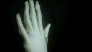 A Computer Animated Hand