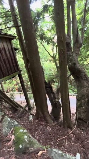 【奈良県・野迫川村】標高800Mのところに佇んでいた集落