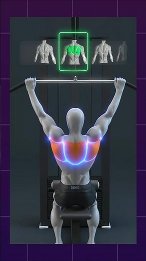 💪 Perfect Form = Perfect Back Definition