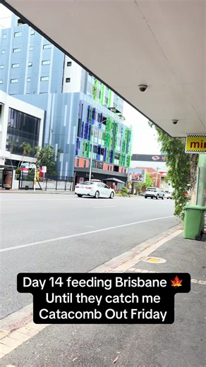 Catacomb Chase in Brisbane: Day 14 Highlights