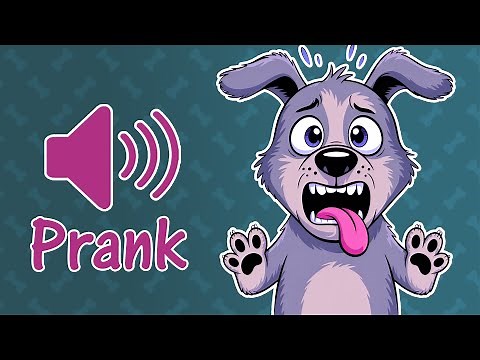 📣 Sounds Dogs Hate - Perfect to Prank Your Dog 😆