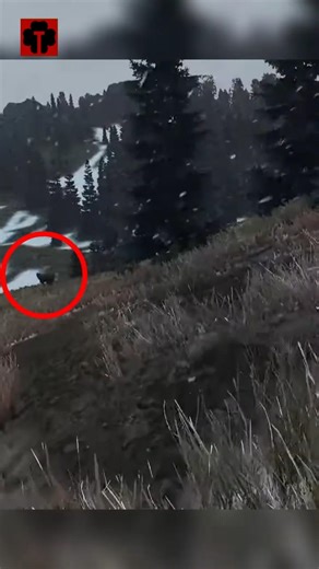 How I met a bear! Just a little closer… 🐻 How I met a bear! Just a little closer…😱#dayz #xbox #su...