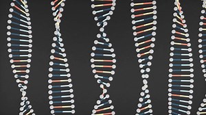 El ADN explicado en 8 GIFs