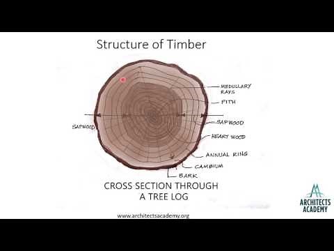 Structure of timber