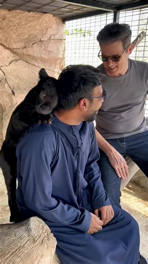 7.7M views · 10K reactions | Dubai Billionaire Man #egyptian #dog #lion #car #Tiger #Animals #Funny #football #pet #Penda #Part235 | Hamid Al Baqeesh | Facebook