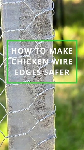 How to Make Chicken Wire Edges Safer | WireFence #chickenwire #fencing #fence