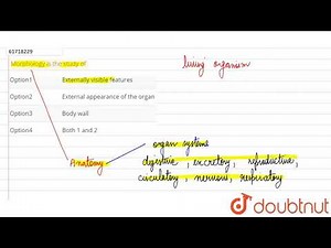 Morphology is the study of