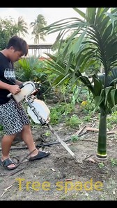 16K views · 532 reactions | A tree spade is a heavy-duty machine (sometimes mounted on a skid steer, loader, or truck) that uses sharp shovel-like blades to cut around and beneath a tree, extracting the root ball so the tree can be transplanted safely—even large, mature trees. #TreeSpade #TreeTransplanting #RootBall #HeavyEquipment #LandscapingTools #ForestryEquipment #EcoLandscaping | Kayala Domes | Facebook