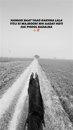 ꜱᴀᴍʀᴀ ꜰᴀʀᴍ 🏷️ on Instagram: "📈 #lifewith4by4 . NOT FOR TITLI 😂😜"