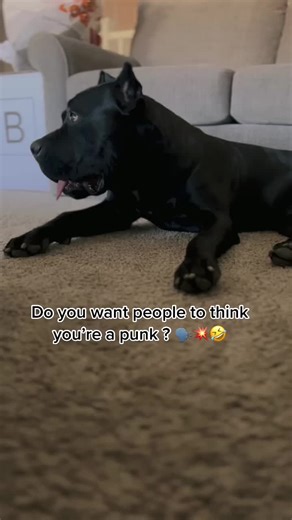 Bane | Your Favorite Nephew on TikTok
