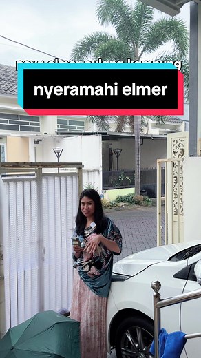 Menegur Secara Halus - Elmer Pulang Kampung