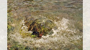 What is an artesian well & how it might have caused water 'eruption' in Jaisalmer desert