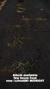 Amandla Omphambili.. lena-ke ngiyiphiwe uMfwethu uXowla ngolimu lwesingisi singathi it was produced by Stallion, nkabiyami ngiyabonga. | KWAZI NSELE