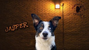 301 reactions · 155 shares | ⭐️ Please take a moment to watch and...