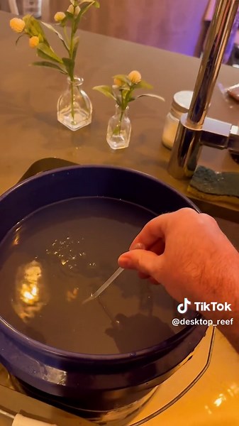 Watch me do my whole water change in under two minutes !! . . . . #HowTo #waterchange #waterchangeday #waterchangegang #waterchanges #instructional #asmr #relaxing #calming #timelapse #timelapsevideo #reeftank #reeftanks #reeftanksofinstagram #reeftanksoftiktok #reef #reeffish #reefaholiks #greatbarrierreef #reefaquarium #aquarium #aquariumsaltwater #aquariumsoftiktok #aquariumfish #aquariumhobby #aquariumhobbyist #aquariumcheck #aquariumlife #coral #coralreef #coralreeftank #torchcoral #coralad