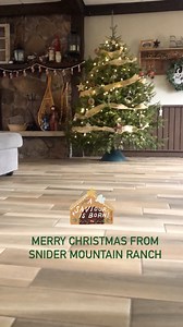 Circle Square Ranch Snider Mountain on Reels | Facebook