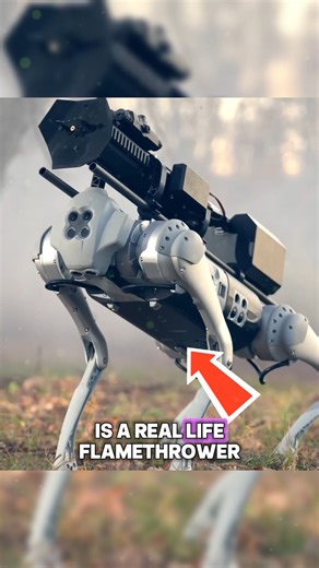 Robot dog fitted with a flamethrower A Robot Dog equipped with a flamethrower is redefining modern technology. This powerful innovation combines robotics with advanced defense features, creating endless opportunities for industrial, security, and emergency use. Imagine the future of AI-driven machines protecting lives and property. Would you trust it? #AI #Robotics #Technology #innovation #AdvancedDefense Credits : Throwflame, Unitree Robotics, Civilian Tactical / yt | Cute Pets | Facebook