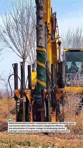 Heavy-Duty Tree Transplanter Machine in Action 🌳🚜 #AgriTech #Farming #HeavyEquipment