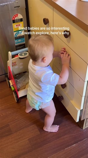 Understanding Life Through My Blind Baby Arlo