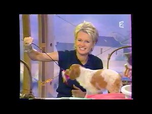 France 2 : Pub, B.A, C'est au programme : 11-06-2002