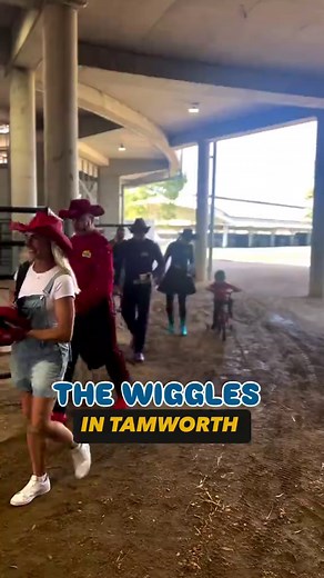 The Wiggles Concert Experience in Tamworth 2024
