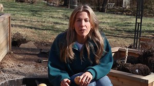 Why I'm Not Growing Potatoes in Raised Beds part 3 | Gardenary