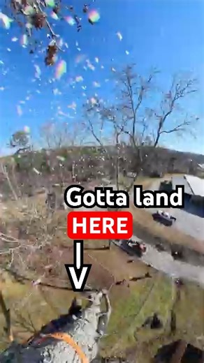 Cutting the top out of this tree