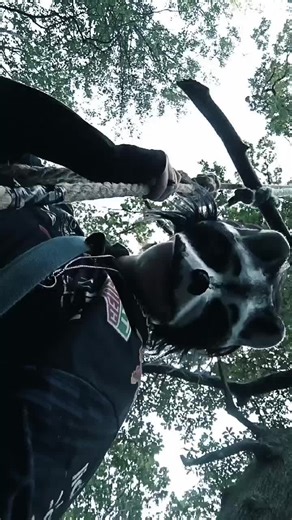 ☆🔪DANNY🔪☆ (@danny_dancosplays)’s videos with son original - 𝔠𝔬𝔩𝔦𝔫.𝔪𝔩𝔰