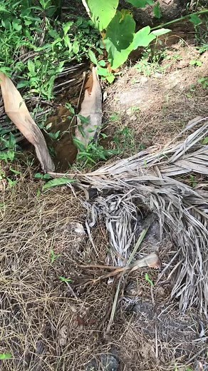 บัญชีที่แนะนำ