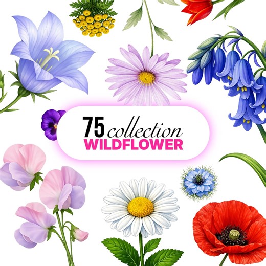 75 Flower Clipart PNG – Watercolor Flowers, Spring Flowers, Valentine Flower Clipart – Watercolor Designs for Crafting - Etsy