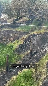6.9K views · 63 reactions | 'It was pretty scary here at midnight' - farmers in Country Antrim are worried as firefighters tackle a two-day blaze in Glenariff. Conditions are tough for Northern Ireland Fire and Rescue Service firefighters due to the high temperatures at the moment. | BBC News NI | Facebook