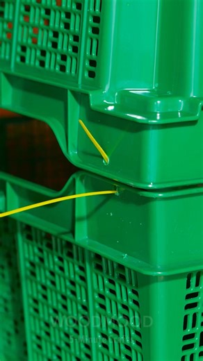 Autumn gardening tips for plant lovers | Wood Mood