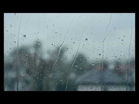 Grey Rain on the Window · 11 Hours | Sleep, Relax & Focus