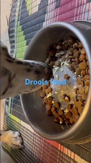 #youtubeshorts #drools #feedshorts #dogvideos 🐶
