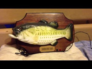 Singing Fish - SINGING HONEY BASS