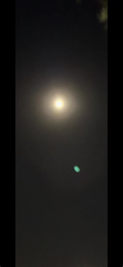 Captivating Moments with CapCut