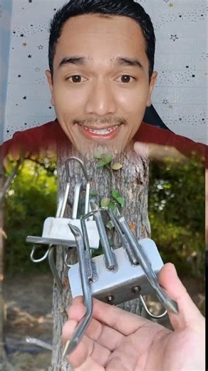 Tools for climbing coconut trees and others