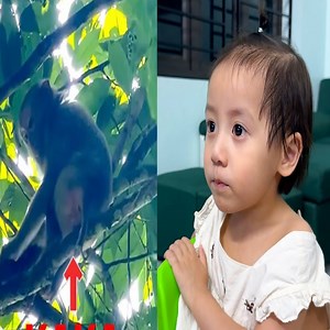 9.3K views · 203 reactions | Diem couldn't take eyes off the TV when she saw Monkey Kaka on it | Monkey Xuka | Facebook