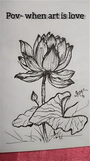 Lotus drawing with pen #lotus #drawing #tutorial #pen #art