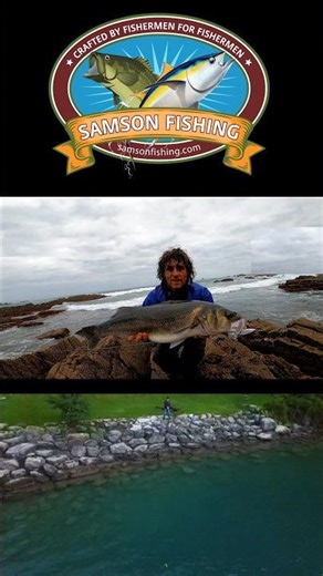 Fishing Big Double Bass On Samson Shad #fishing #seabass #lurefishing #basslures