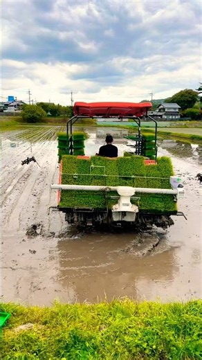 Kubota NW8S GS 田植え機 田植え作業#farming #現代農業 #automobile #kubota