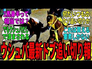 【競馬の反応集】「【朗報】ウシュバ国内最終追い切り、案の定ドブ」に対する視聴者の反応集